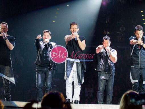 New Kids on the Block: The Main Event Tour 2015